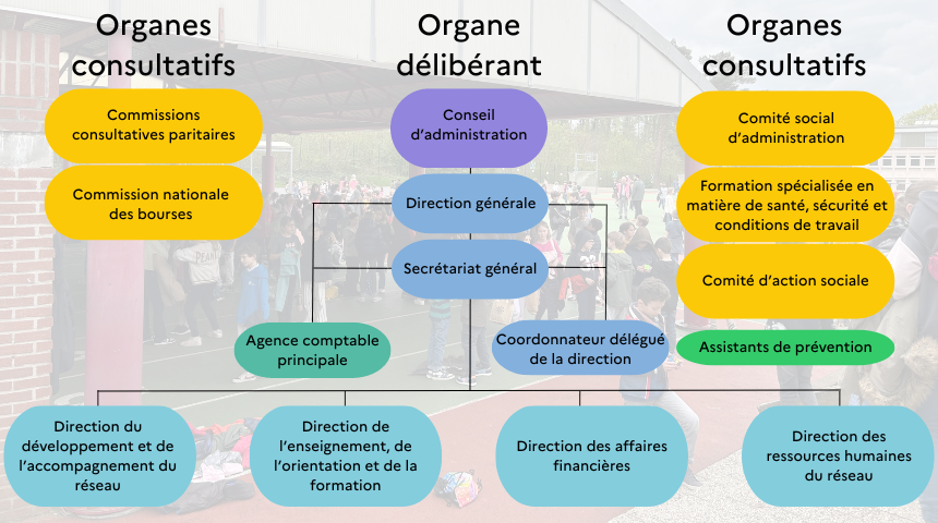 Présentation organigramme AEFE